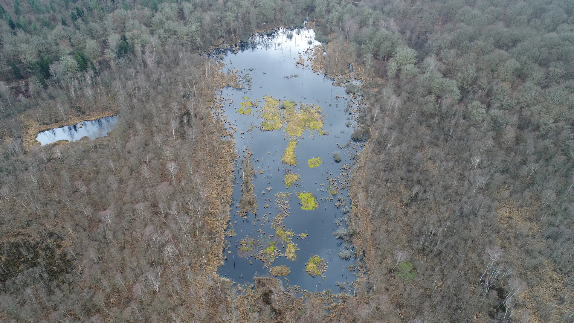 Plan d'eau de Rignovelle à Rignovelle — À 3,6 km du lac