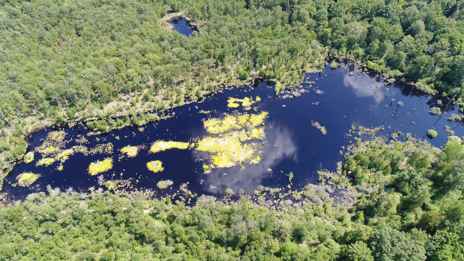 Plan d'eau de Rignovelle à Rignovelle — À 3,7 km du lac