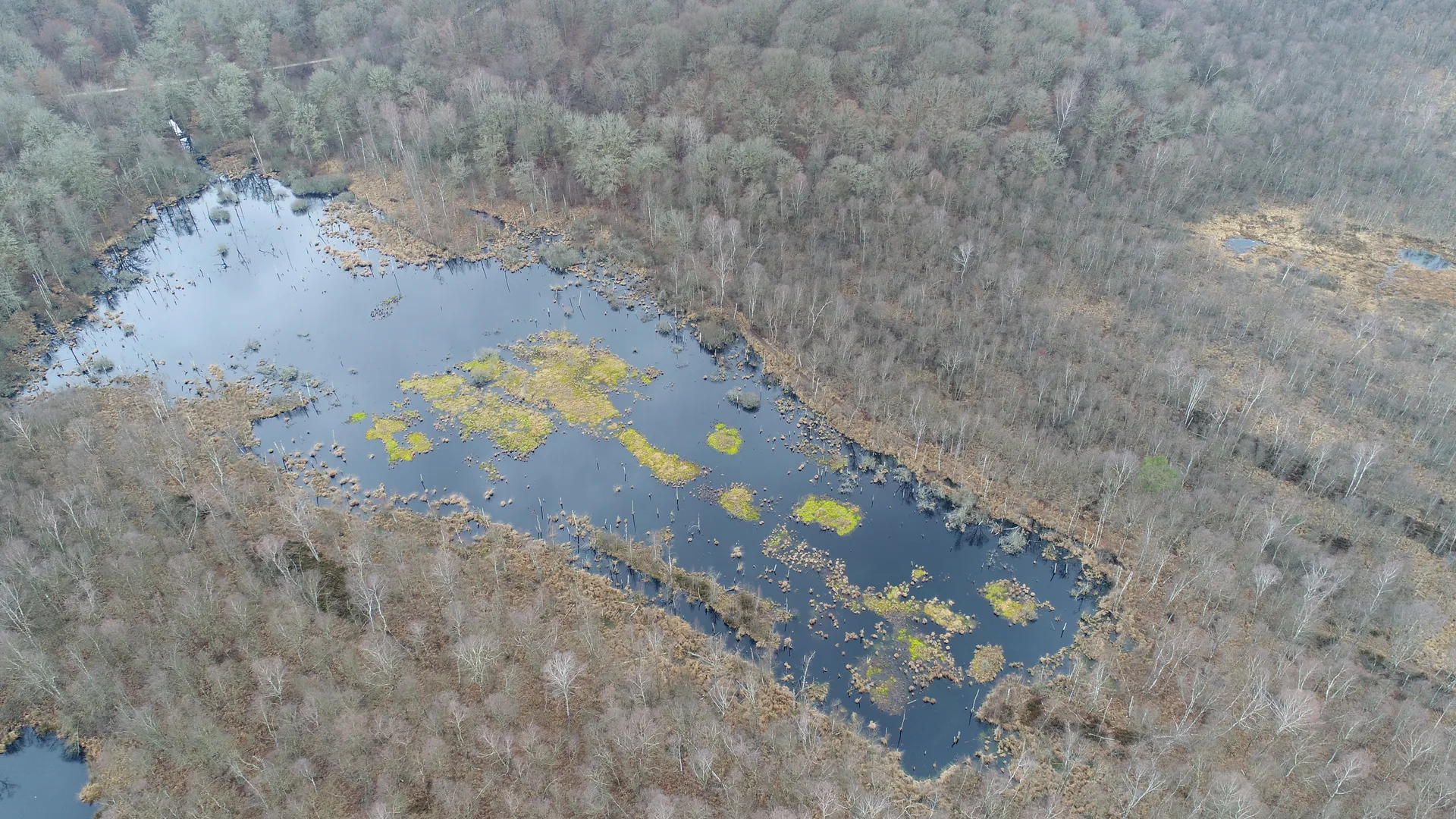 Plan d'eau de Rignovelle à Rignovelle — À 3,7 km du lac
