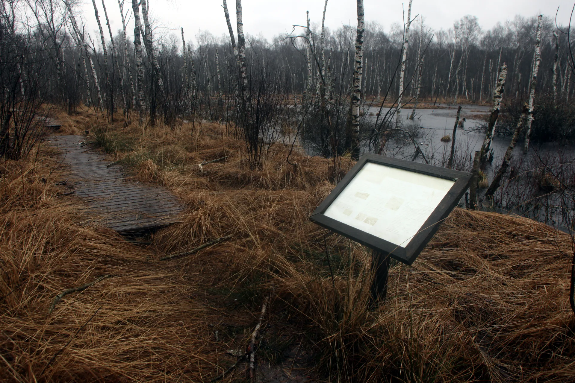 Plan d'eau de Rignovelle à Rignovelle — À 3,7 km du lac