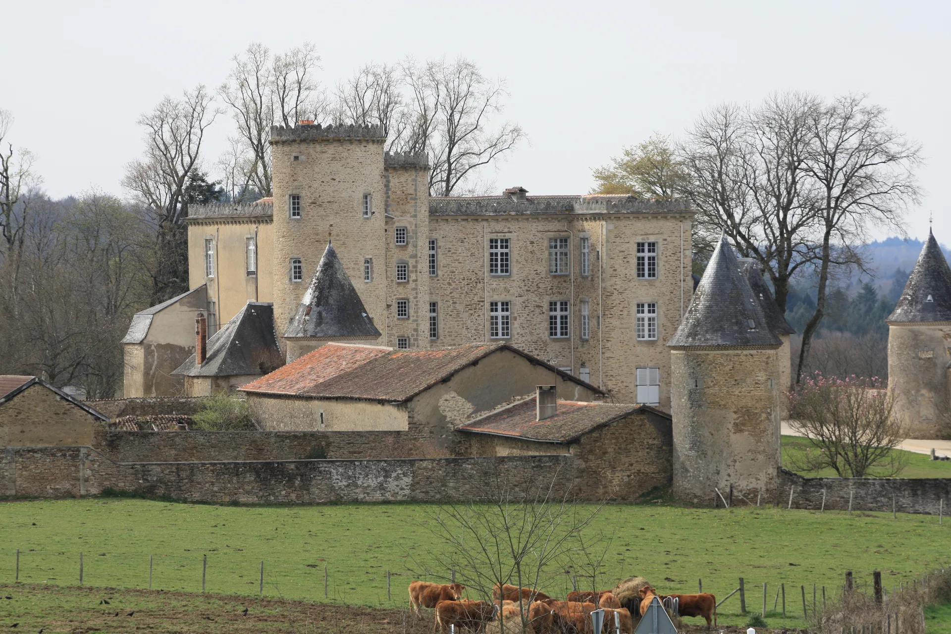 Plan d'eau de Saint Mathieu à Saint-Mathieu — À 3,6 km du lac