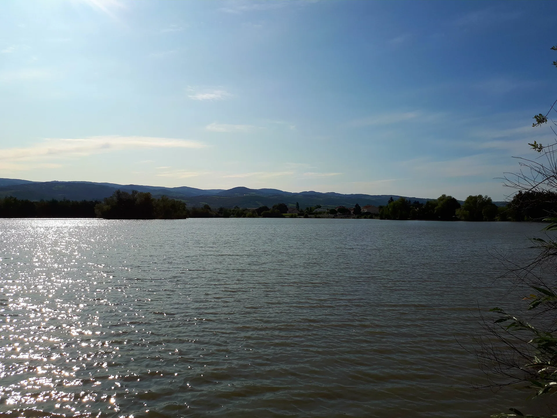 Plan d'eau de Savigneux à Savigneux — À 505 m du lac