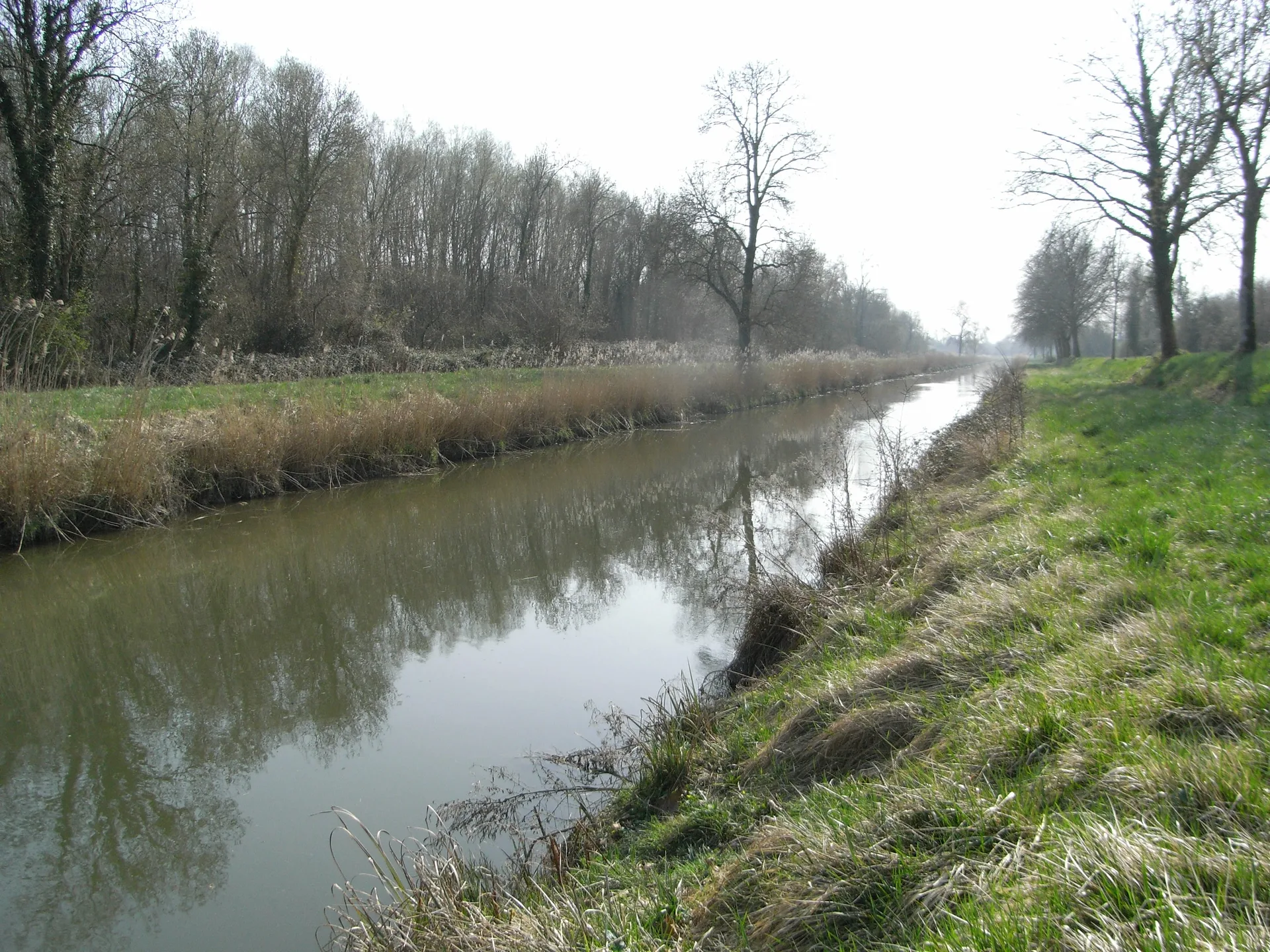 Plan d'eau de Triray à Trizay — À 2,2 km du lac