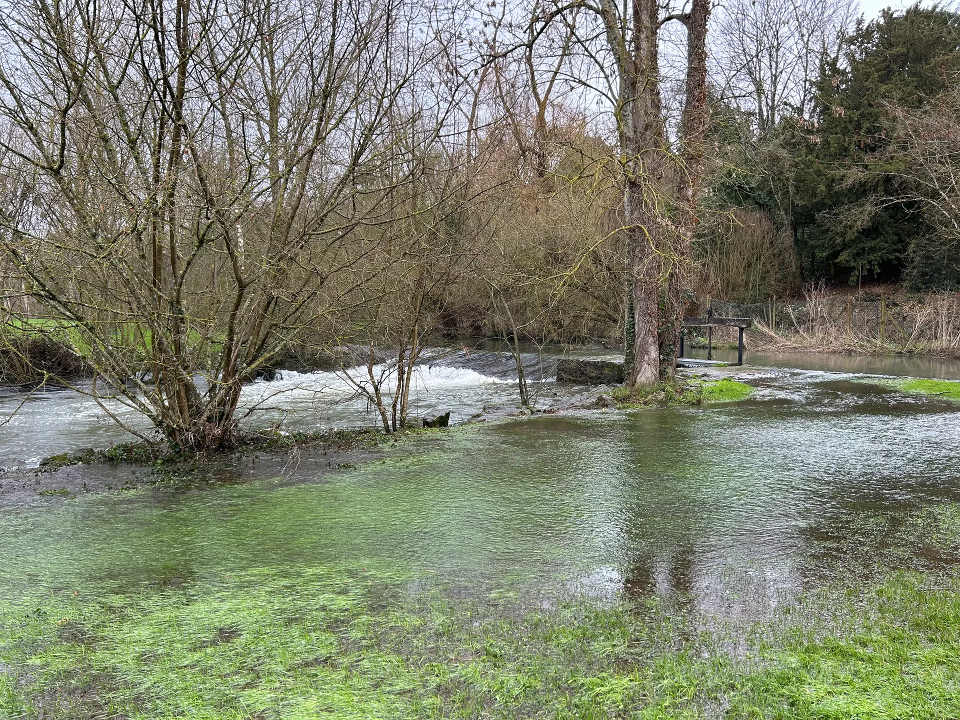 Plan d’eau de Vouillé à Vouillé — Sur le lac