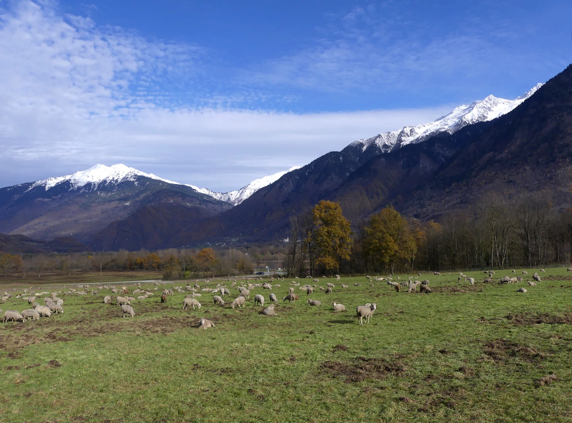 Plan d'eau des Hurtieres à Saint-Alban-d'Hurtières — À 522 m du lac