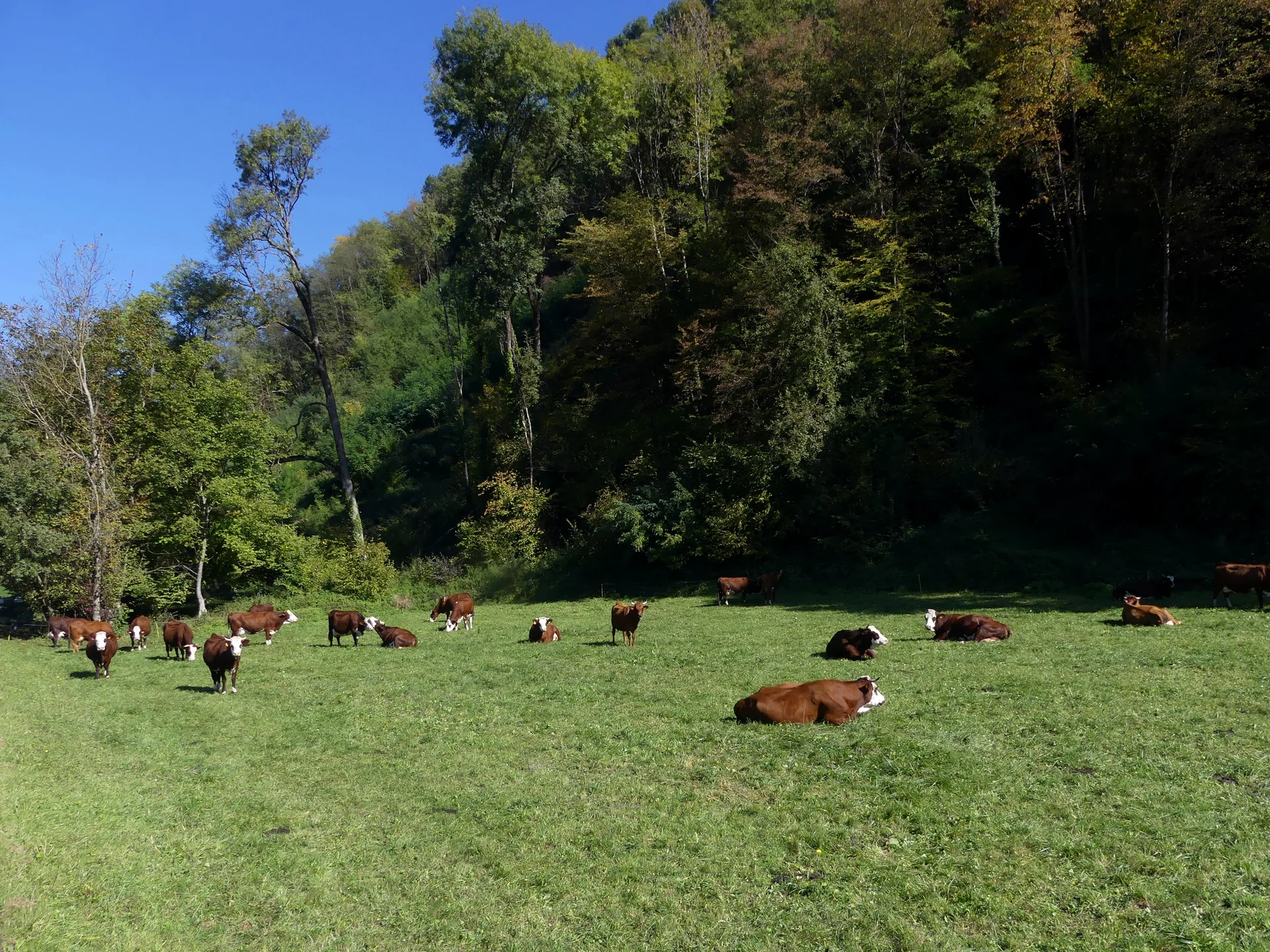 Plan d'eau des Hurtieres à Saint-Alban-d'Hurtières — À 936 m du lac