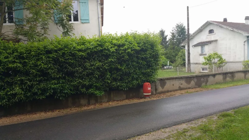 Plan d'eau des Pinots à Mariol — À 1,1 km du lac