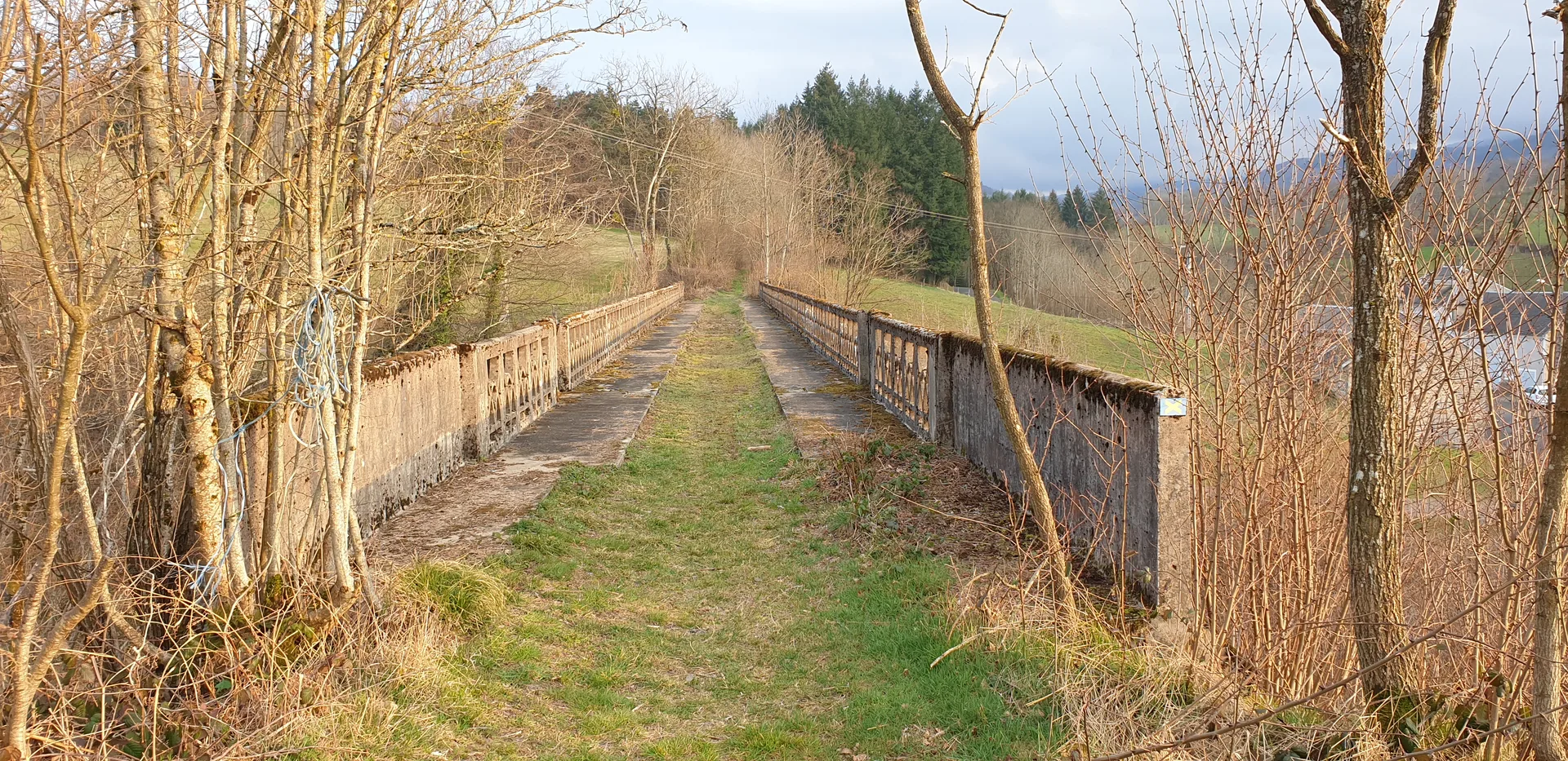 Plan d'eau du Galizan à Ferrières-sur-Sichon — À 1,6 km du lac