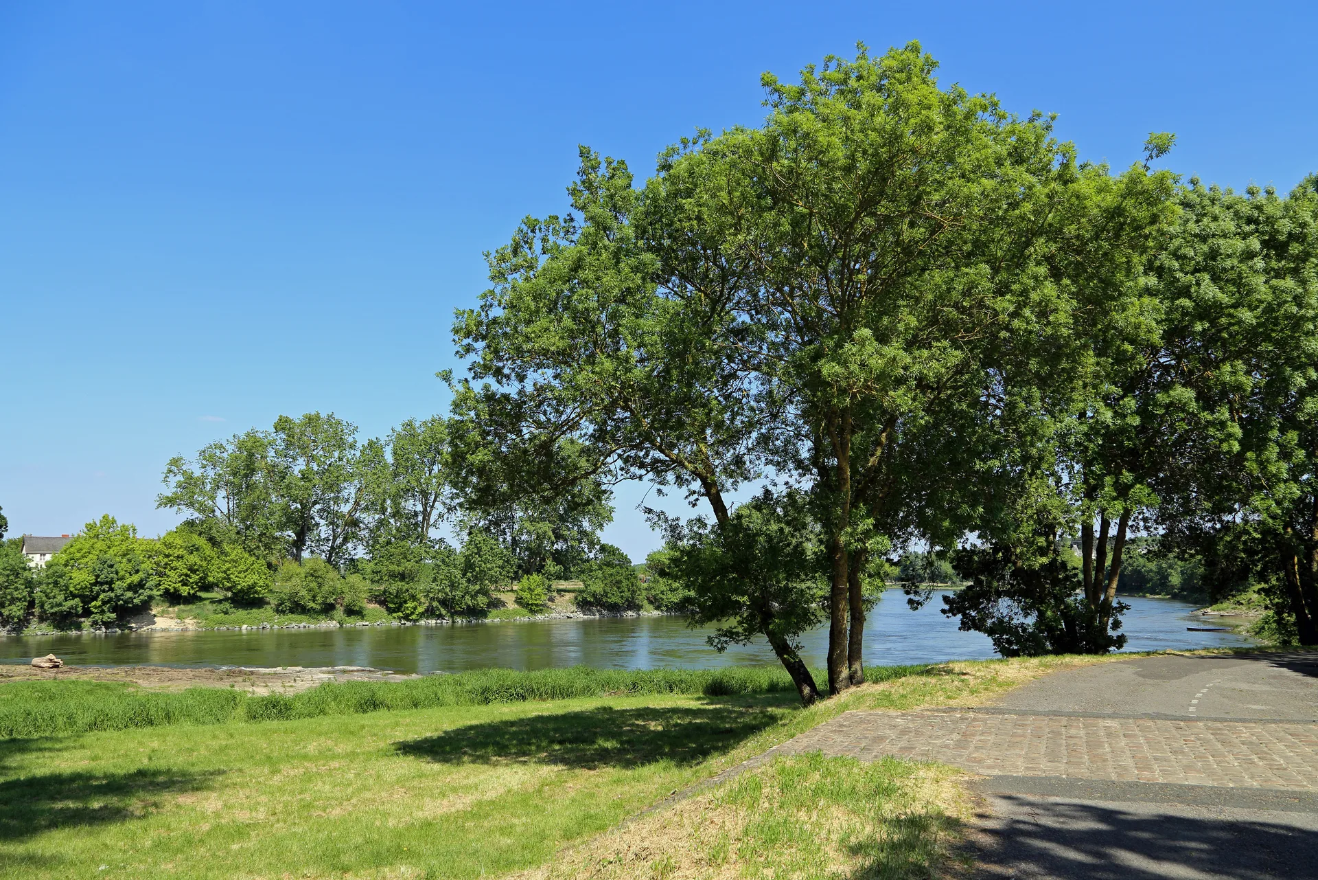 Plan d'eau du Layon à Chalonnes-sur-Loire — À 1,4 km du lac