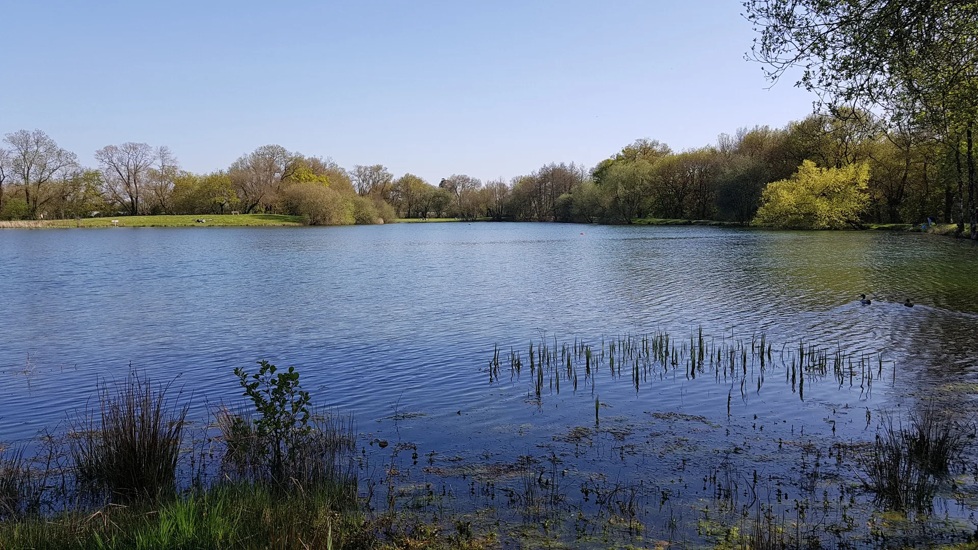 Plan d'eau du Plessis à Sainte-Luce-sur-Loire — Sur le lac