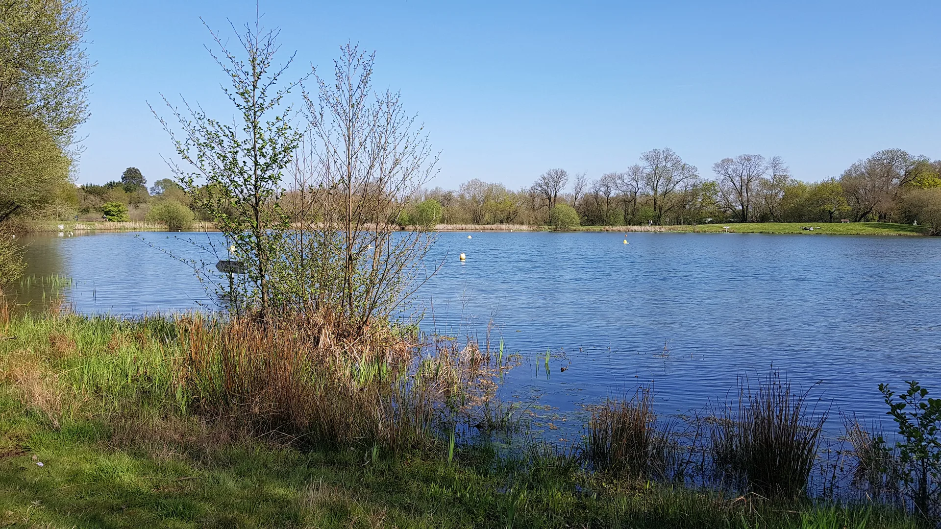 Plan d'eau du Plessis à Sainte-Luce-sur-Loire — Sur le lac