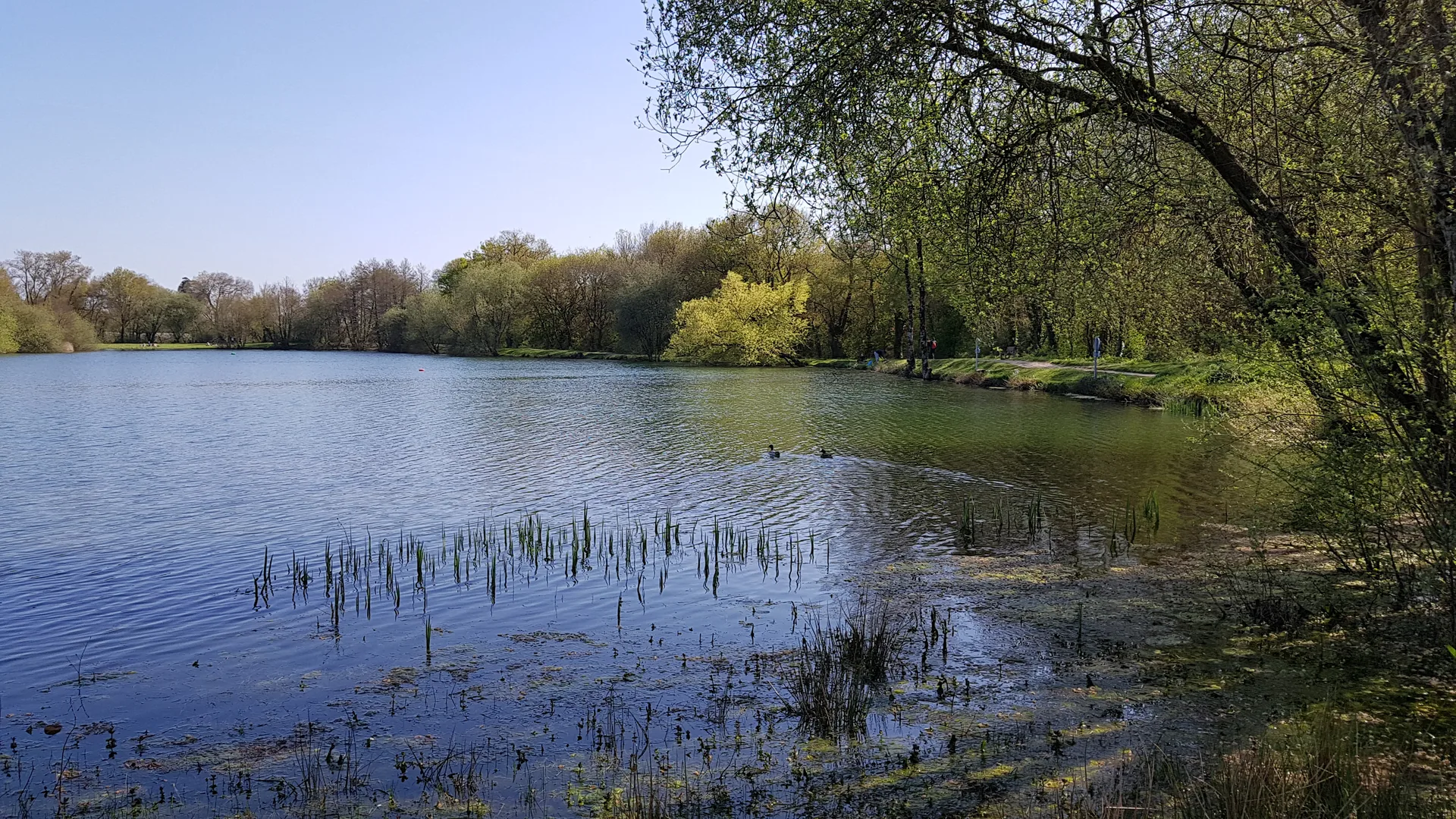 Plan d'eau du Plessis à Sainte-Luce-sur-Loire — Sur le lac