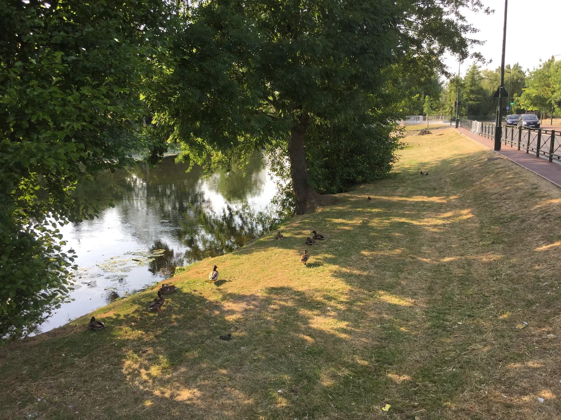 Plan d'eau sur la Seine à Corbeil à Corbeil-Essonnes — À 325 m du lac