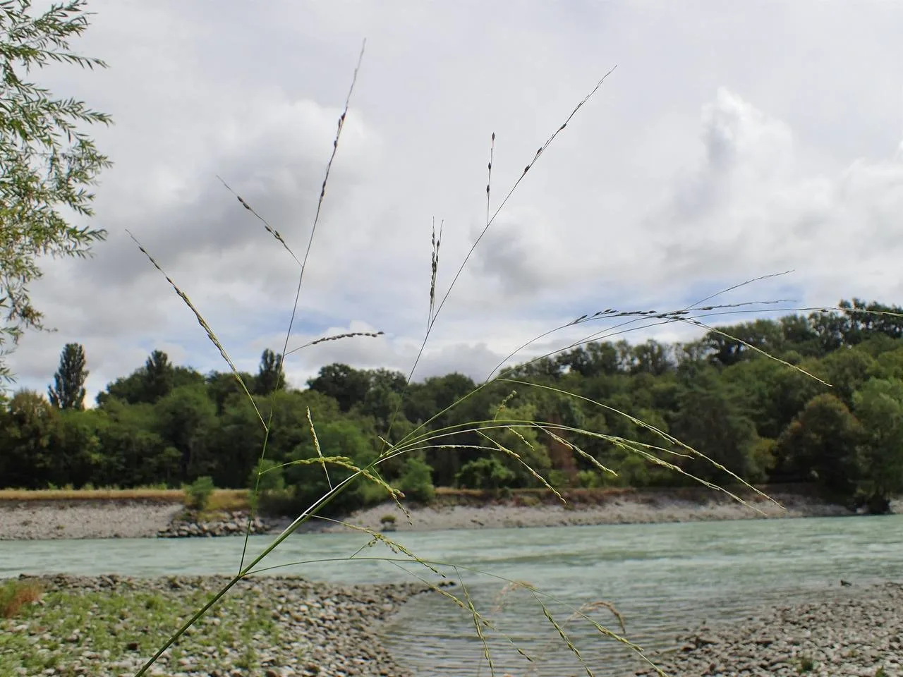Plan deau de Pougny à Pougny — À 320 m du lac
