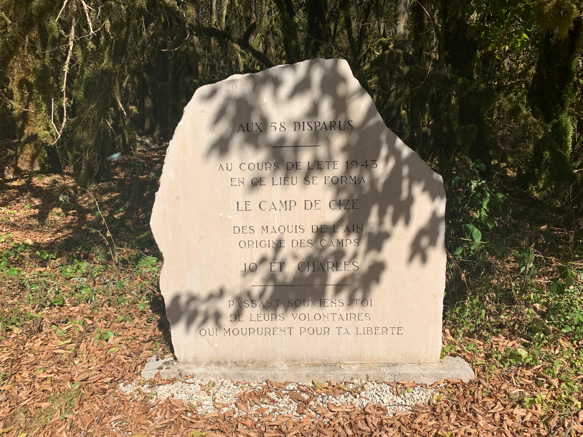 Retenue de Cize Bolozon à Corveissiat — À 1,1 km du lac