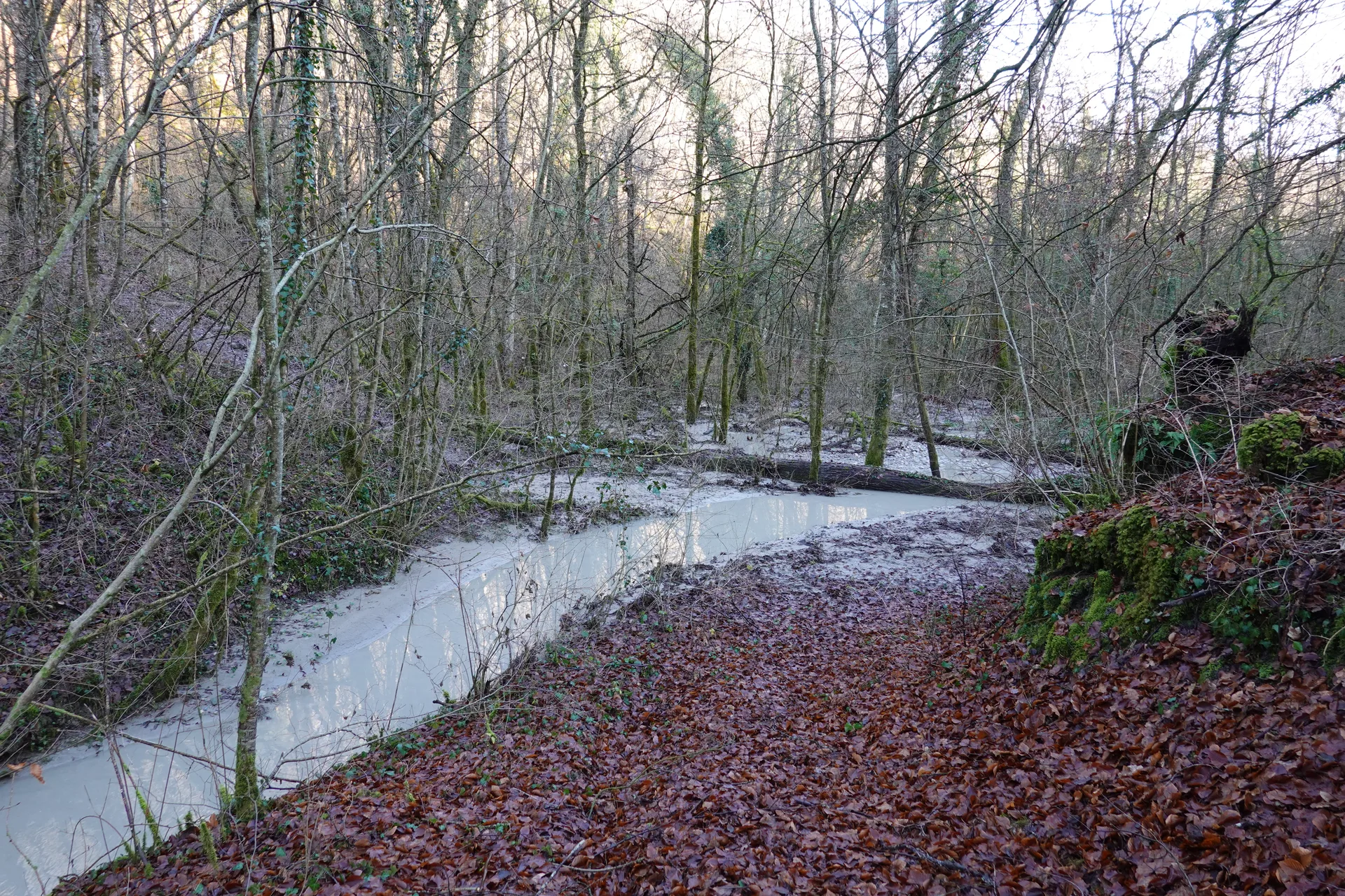 Retenue de Genissiat à Injoux-Génissiat — À 1,1 km du lac