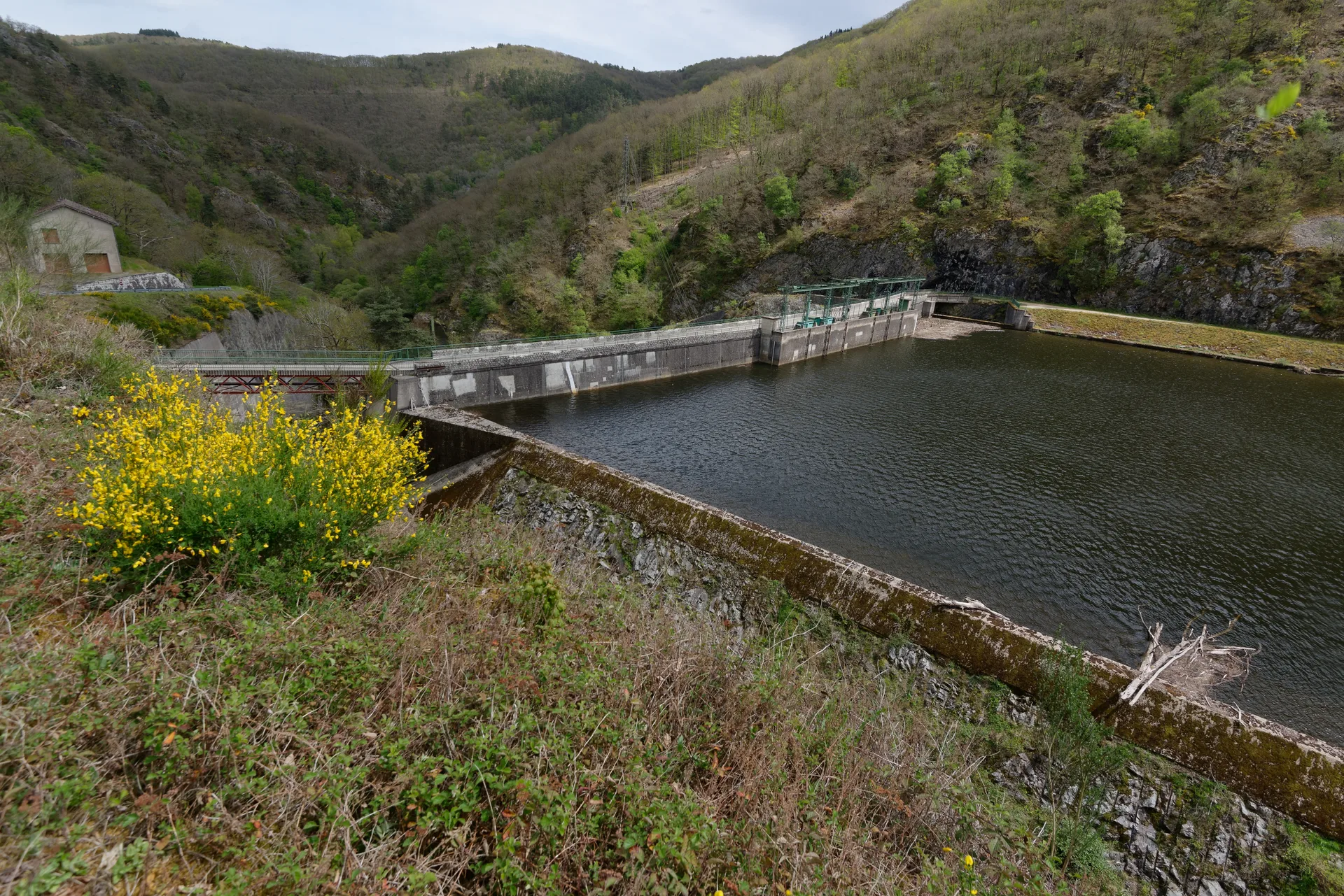 Retenue de Queuille à Vitrac — Sur le lac