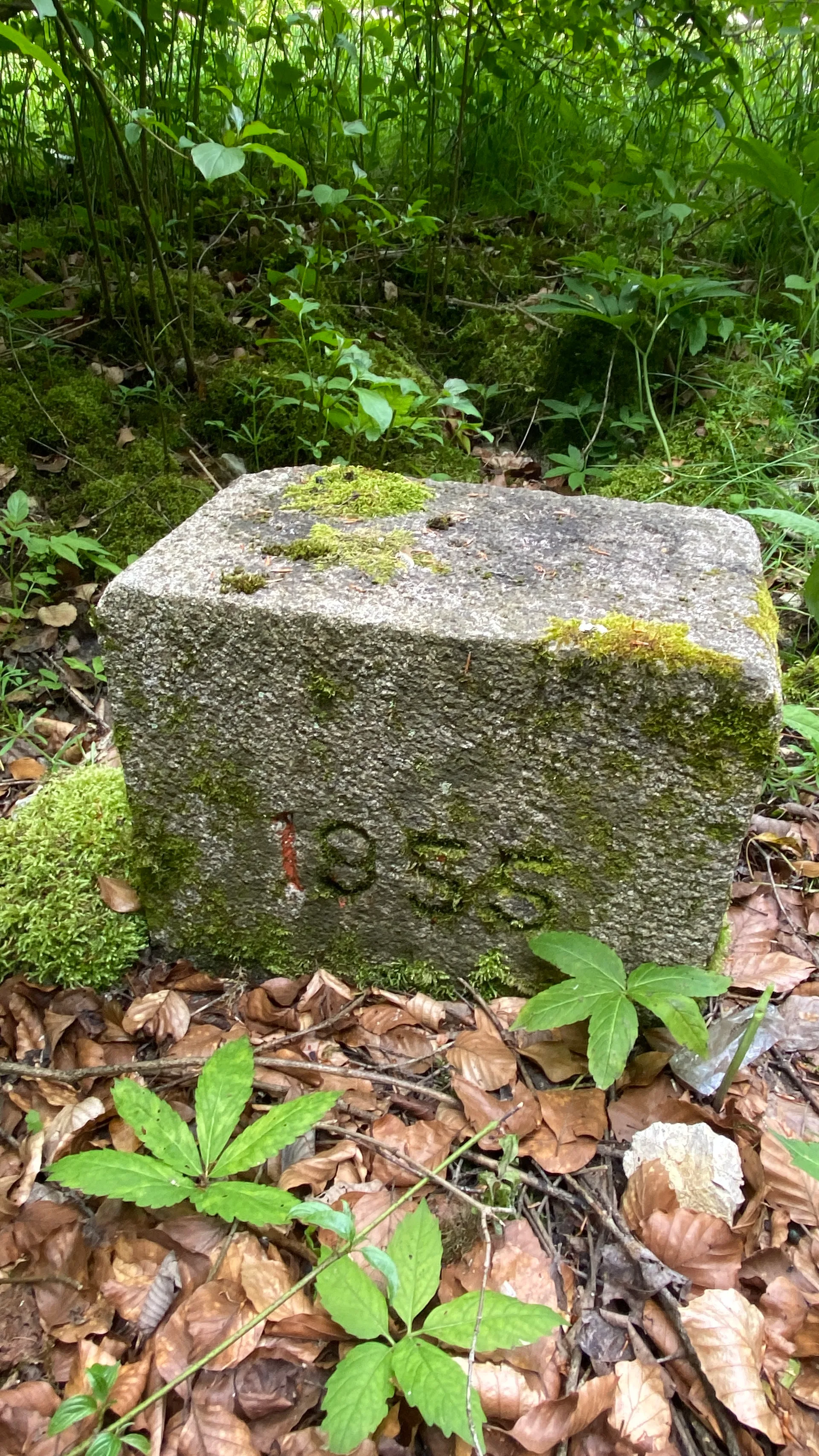 Retenue Refrain à Fournet-Blancheroche — Sur le lac