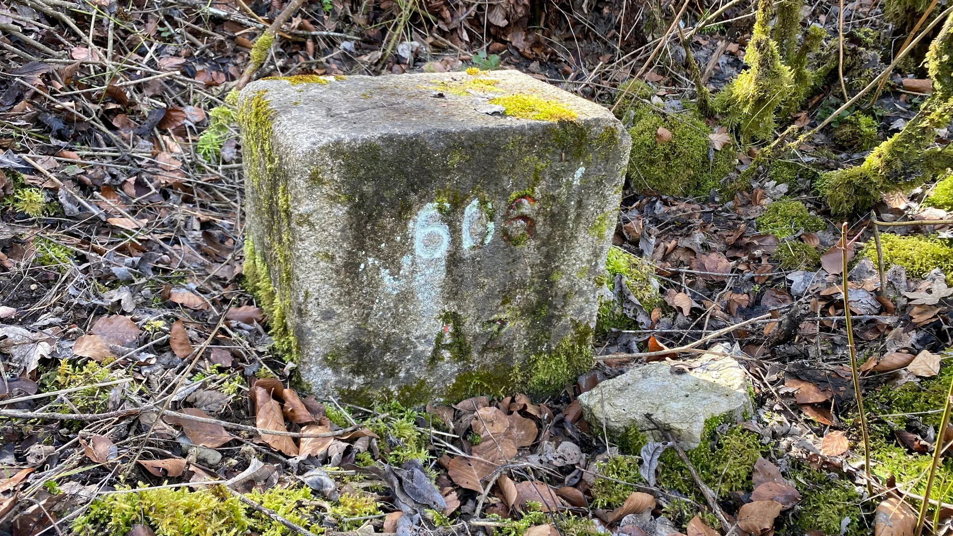 Retenue Refrain à Fournet-Blancheroche — Sur le lac