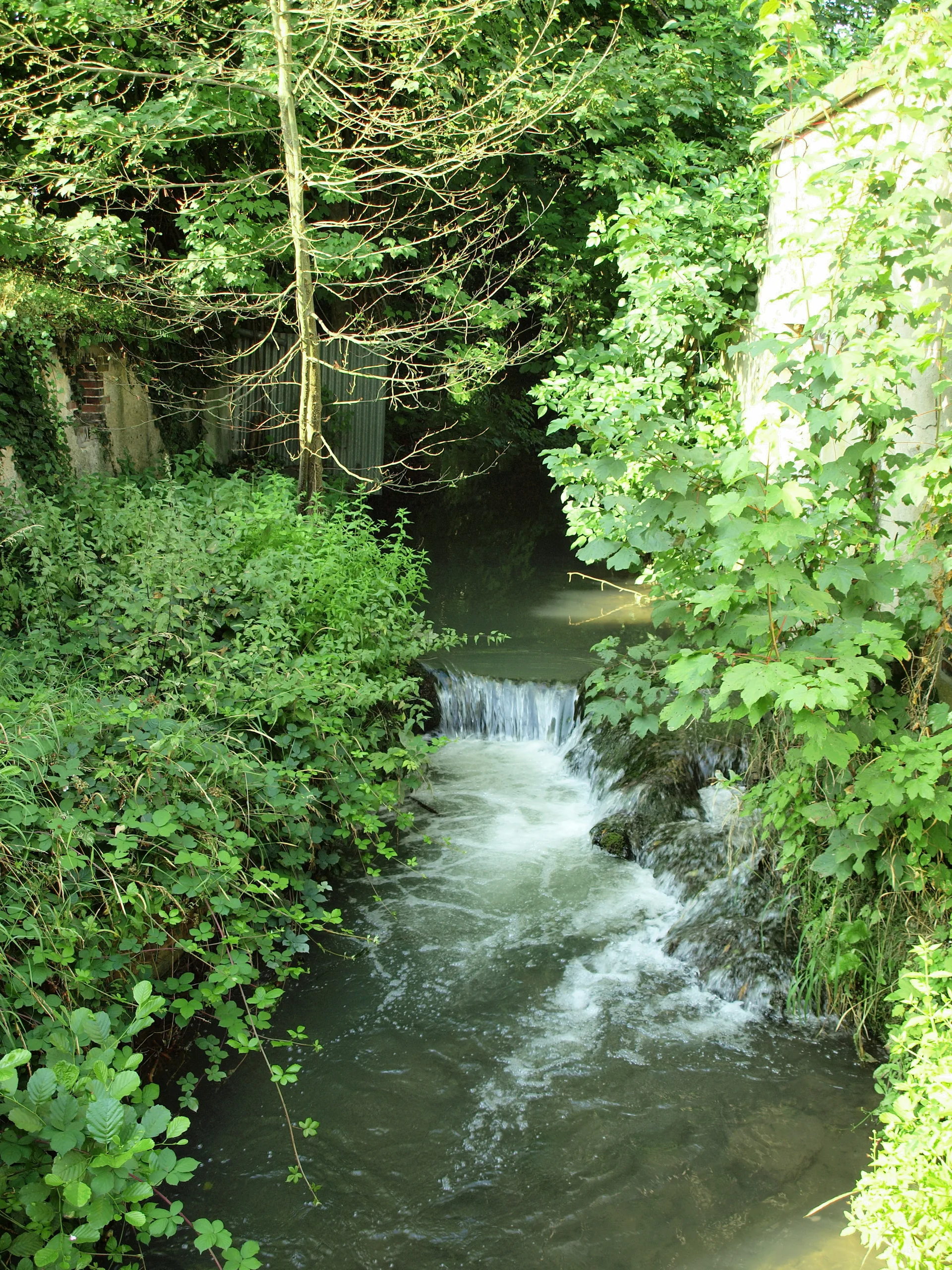 Sabliere de Joigny à Saint-Aubin-sur-Yonne — À 1,8 km du lac