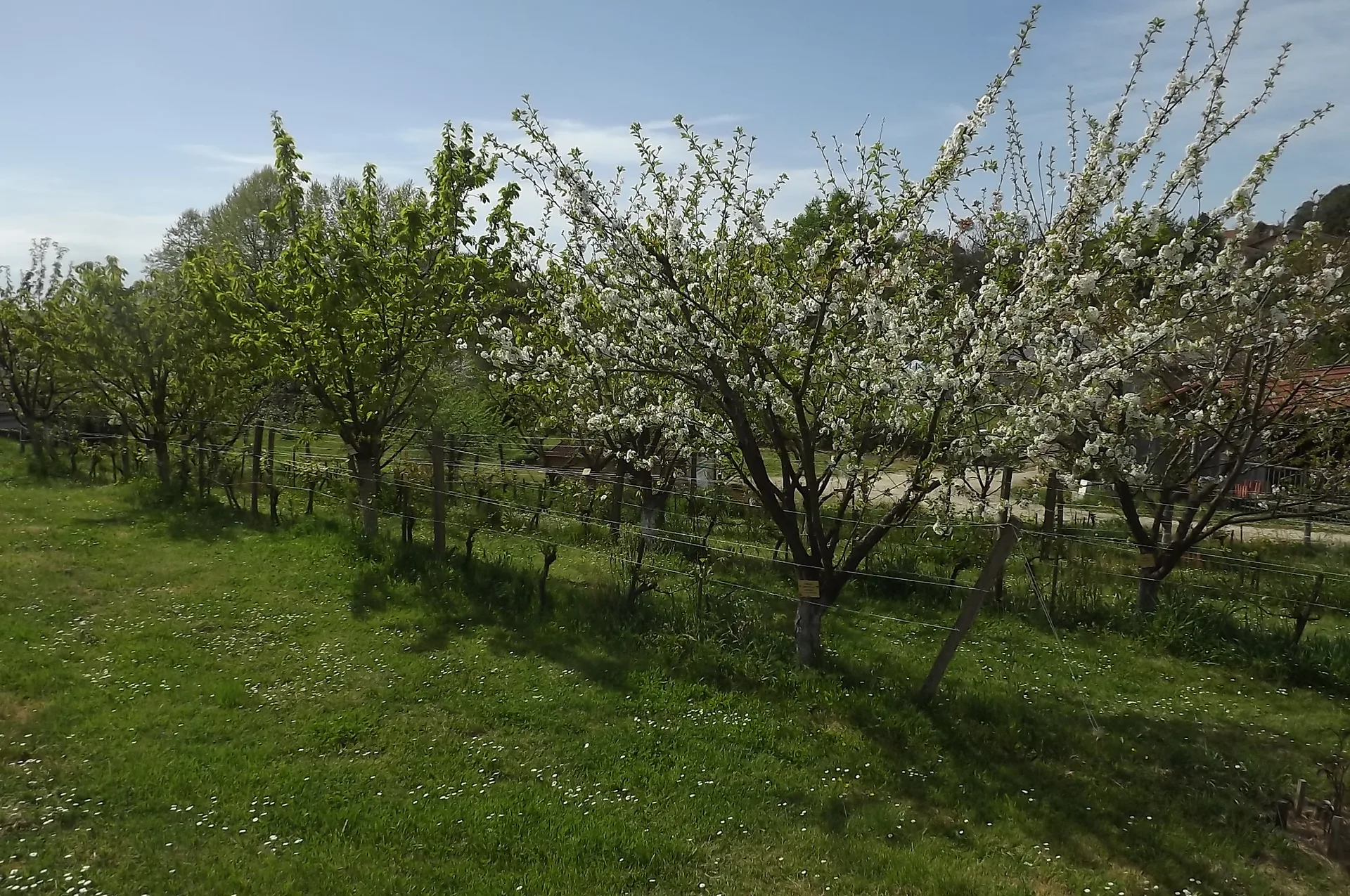 Site de la Saucille à Mugron — À 1,4 km du lac