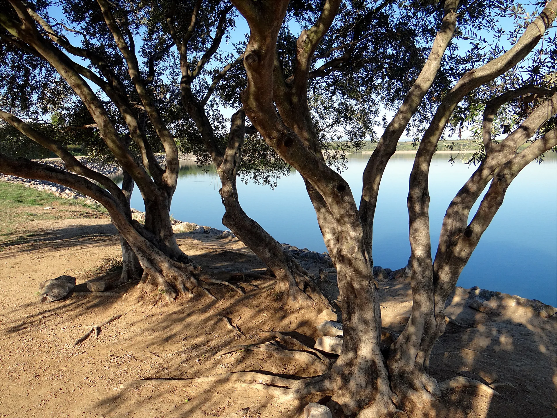 Villeneuve de la Raho à Villeneuve-de-la-Raho — À 1,2 km du lac